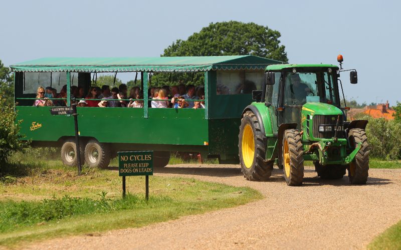 Tractor with trailer touring the Tiptree farm